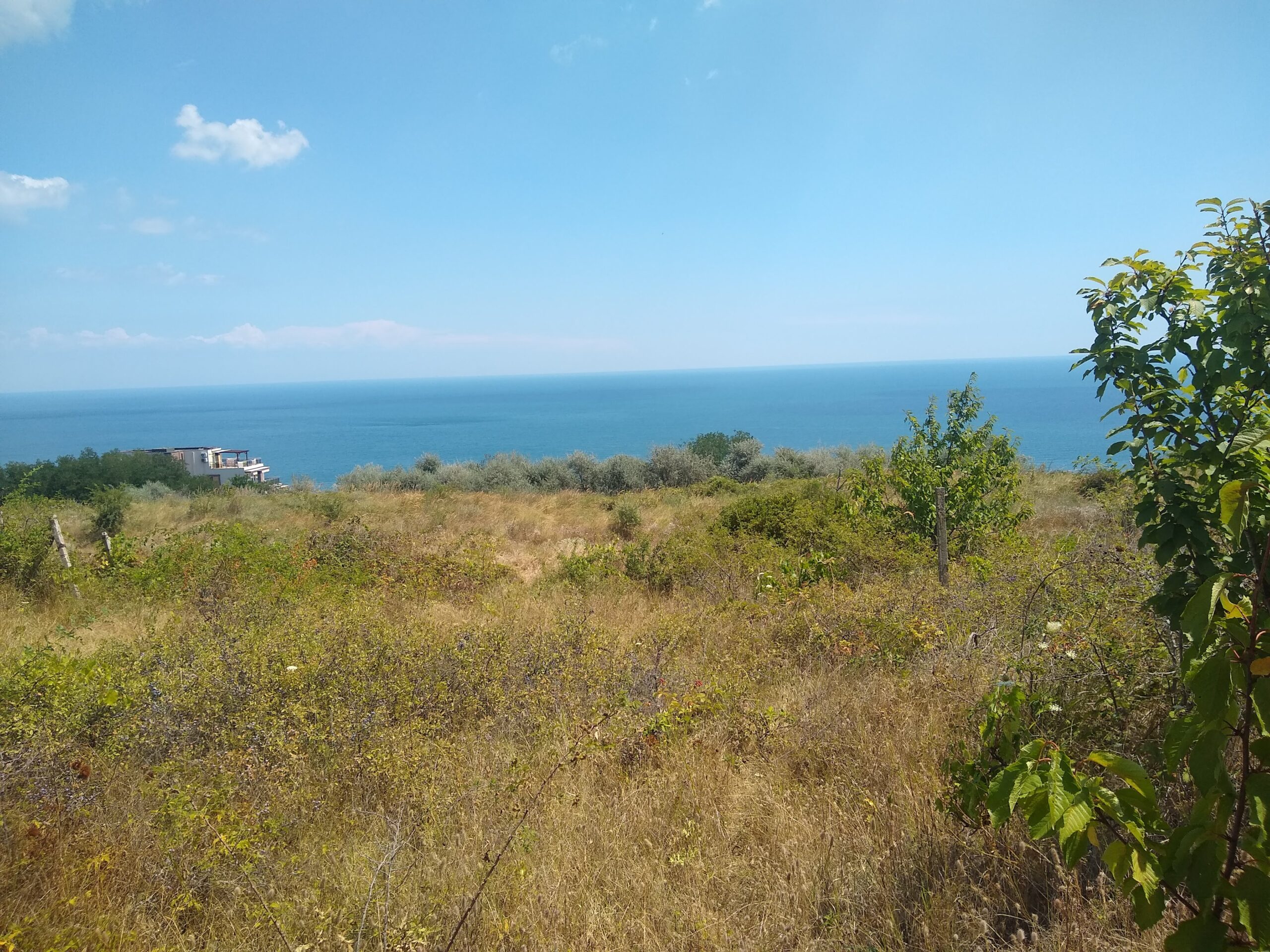 Два съседни парцела в град Бяла – 3783 м², регулация, морска панорама . - Image 4